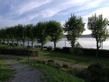 Trees on landscape against sky