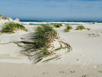 Scenic view of beach against sky