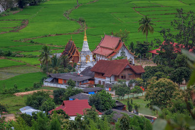 High angle view of houses and trees