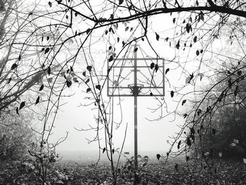Bare trees on field against sky