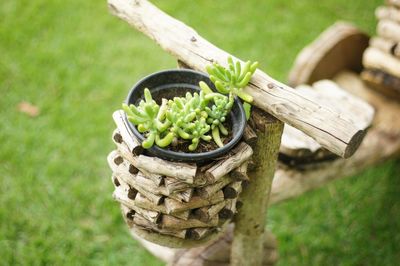 Close-up of wicker bicycle basket on field