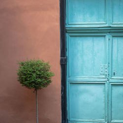Blue door with small tree and an orange wall