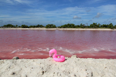 View of toy on beach against sky