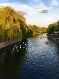 Swan swimming in river against sky