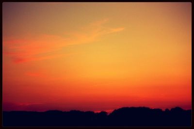 Silhouette of trees at sunset