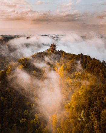 High angle view of tree mountain during foggy weather