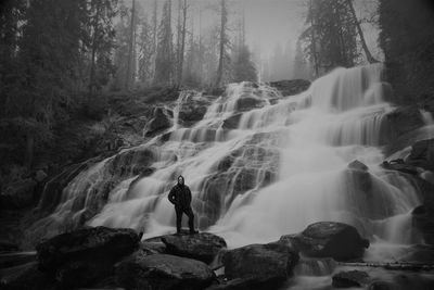 Scenic view of waterfall in forest