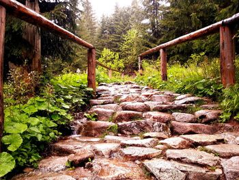 Walkway leading towards building