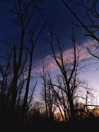 Low angle view of bare trees at sunset