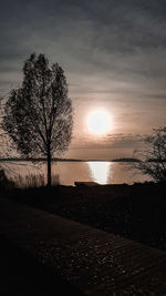 Silhouette bare trees by plants against sky during sunset