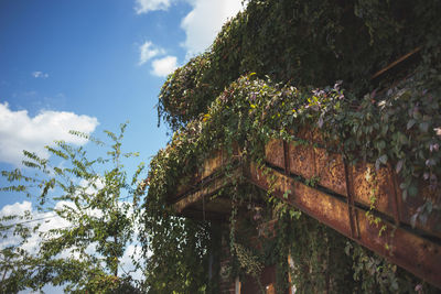 Low angle view of trees against sky