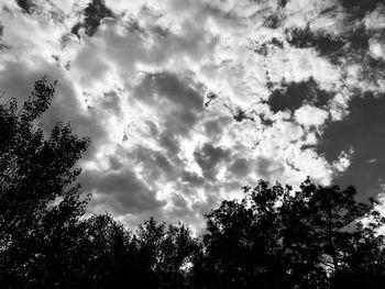 Low angle view of silhouette trees against sky