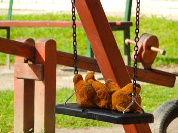 Teddy bear toy on swing