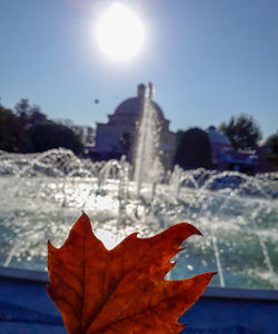 Close-up of maple leaf against sky during winter