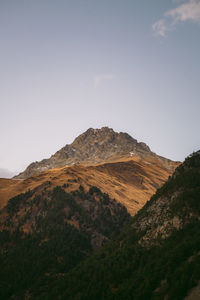 Scenic view of landscape against clear sky