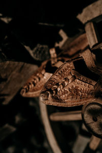 High angle view of insect on dry leaves