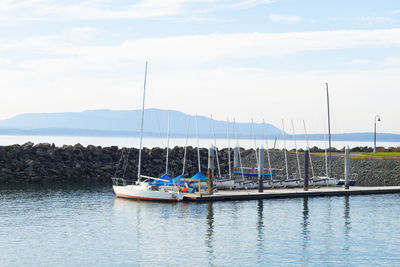 Sailboats moored in marina against sky