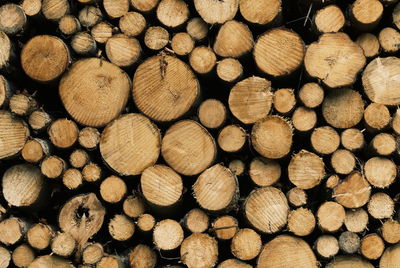 Full frame shot of firewood