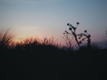 Close-up of silhouette trees against sky at sunset