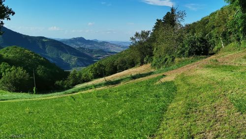 Scenic view of landscape against sky