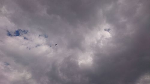 Low angle view of birds flying in sky