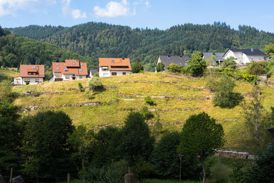 Scenic view of trees and houses on field