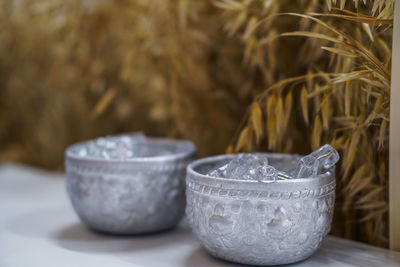 Close-up of potted plant on table