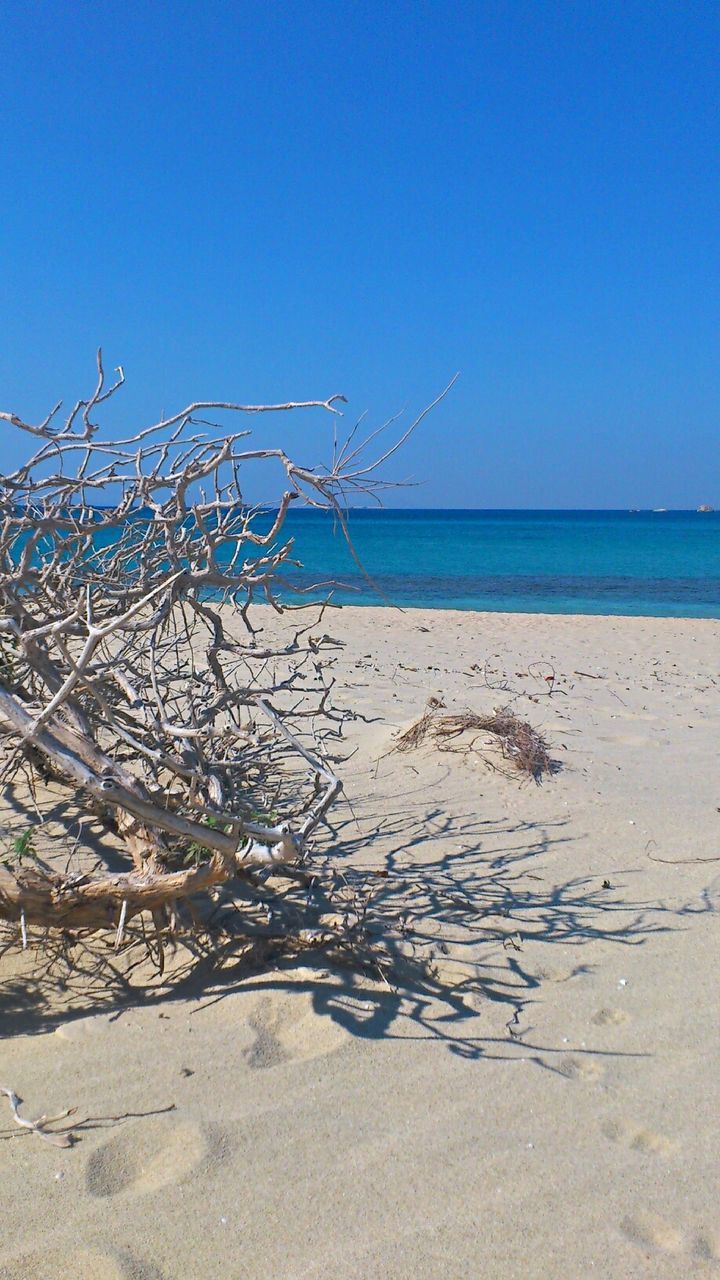 clear sky, blue, sea, water, horizon over water, copy space, beach, tranquility, tranquil scene, shore, nature, sand, scenics, beauty in nature, day, outdoors, sky, no people, remote, sunlight