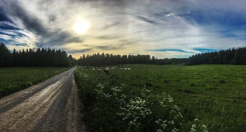 Scenic view of grassy field against cloudy sky