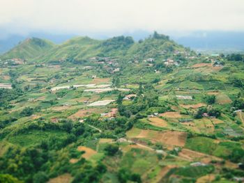 Scenic view of agricultural landscape