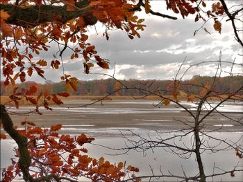 Scenic view of lake against sky during autumn