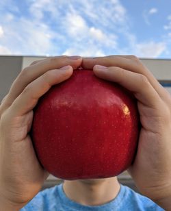 Close-up of hand holding apple