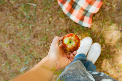 Midsection of person holding apple