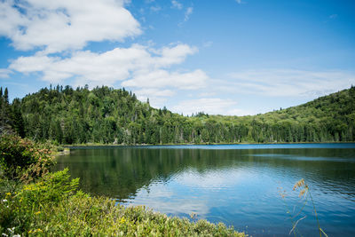 Mont tremblant national park