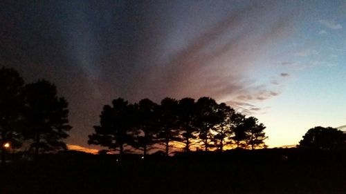 Silhouette of trees at sunset