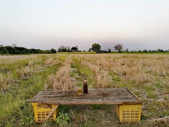 Beer bottle on wood over basket in farm