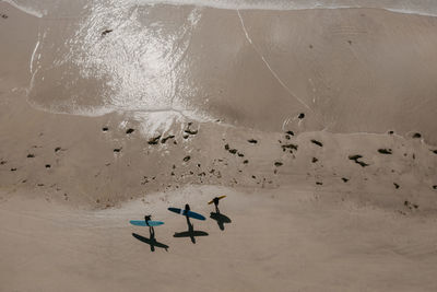 Aerial view of surfers on the beach