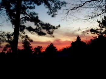 Silhouette trees against sky during sunset