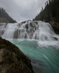 Scenic view of waterfall in forest