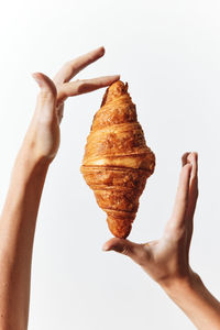 Cropped hand of person holding seashell against white background