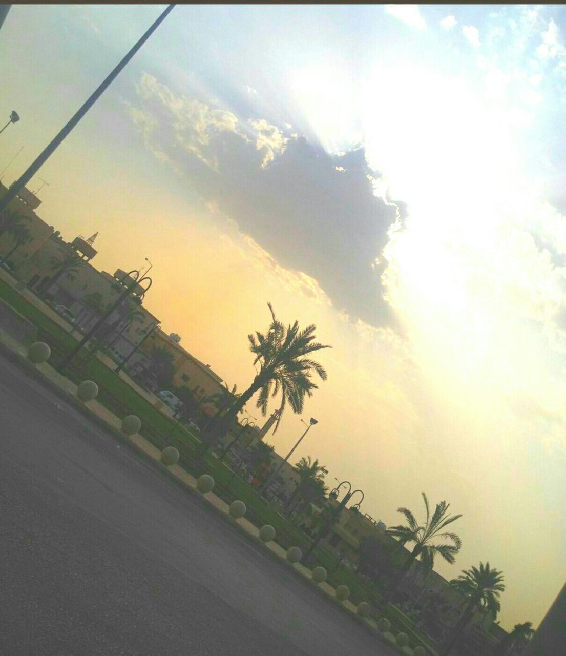 sky, palm tree, low angle view, tree, cloud - sky, sunset, built structure, growth, architecture, building exterior, silhouette, nature, cloud, sunlight, plant, outdoors, no people, beauty in nature, sun, tranquility