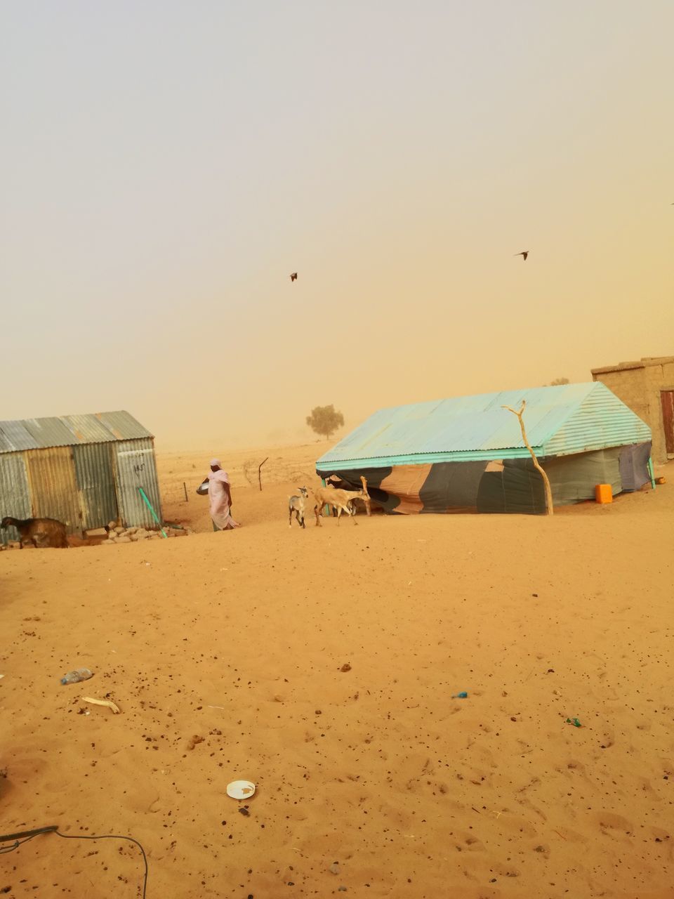 VIEW OF TENT ON BEACH