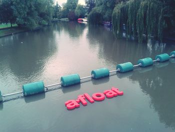 Reflection of trees in water