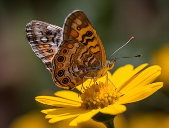 beauty in nature