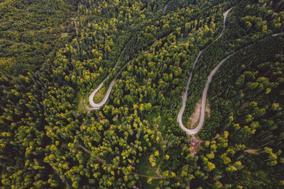 Low angle view of snake