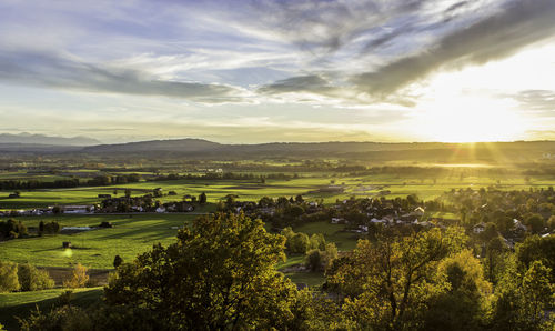 Sunset over field