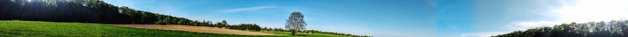 Panoramic view of agricultural field against sky