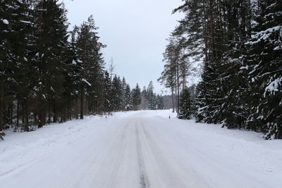 Road amidst snow covered trees against sky