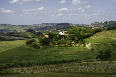 Scenic view of agricultural field against sky