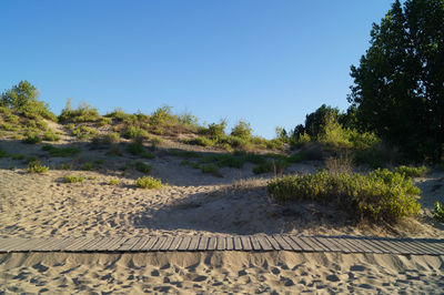 Scenic view of landscape against clear blue sky